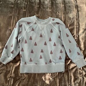 Hanna Andersson Green Sweatshirt